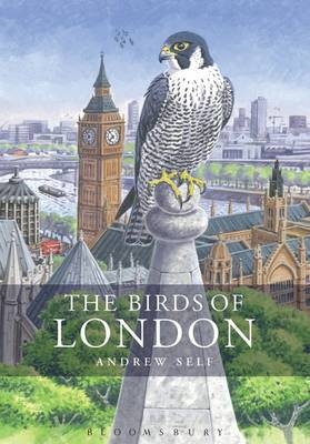 The Birds of London -  Mr Andrew Self