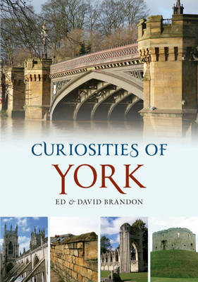 Curiosities of York -  David Brandon,  Ed Brandon