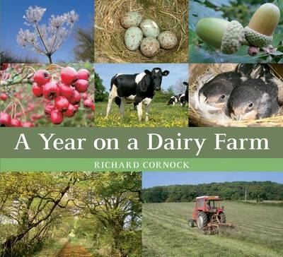 Year on a Dairy Farm -  Richard Cornock