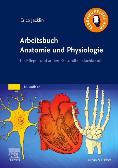 Arbeitsbuch Anatomie und Physiologie - Erica Brühlmann-Jecklin