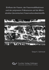 Einfluss der Fasern, der Fasermodifikationen und der polymeren Präkursoren auf die Mikrostruktur (keramischer) Faserverbundwerkstoffe - Tanja K. Schneck