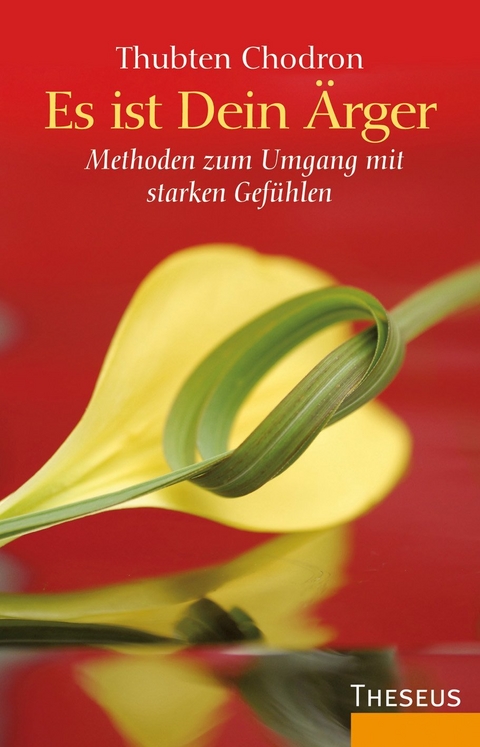 Es ist Dein Ärger - Thubten Chodron