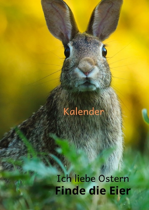 Kalender Ich liebe Ostern Finde die Eier - Rene Schreiber