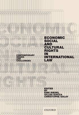 Economic, Social, and Cultural Rights in International Law - 