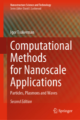 Computational Methods for Nanoscale Applications - Tsukerman, Igor