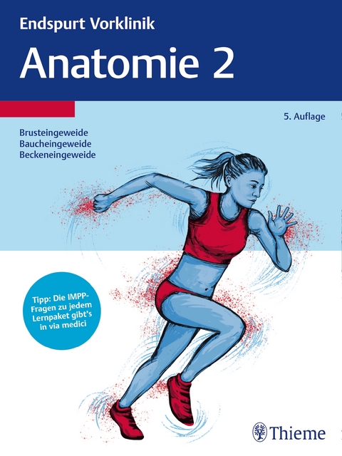 Endspurt Vorklinik: Anatomie 2