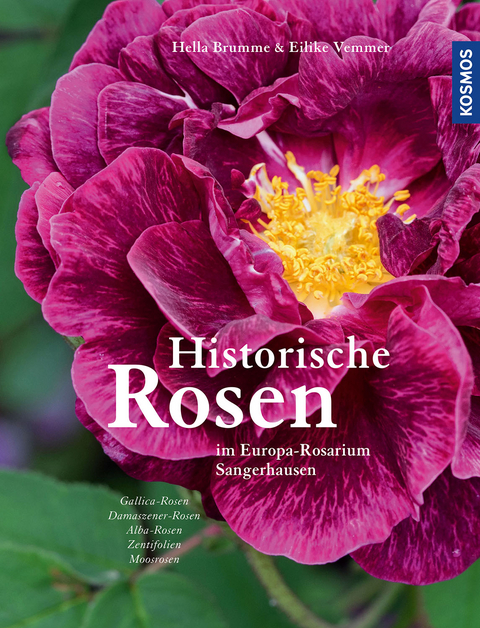 Historische Rosen Band 1 - Hella Brumme, Eilike Vemmer