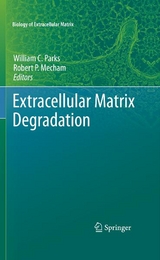 Extracellular Matrix Degradation - 