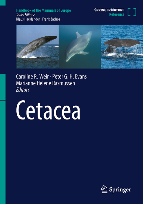 Cetacea - 