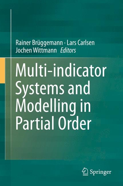 Multi-indicator Systems and Modelling in Partial Order - 