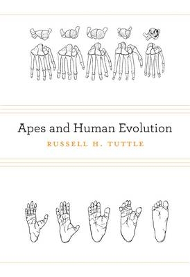 Apes and Human Evolution -  Russell H. Tuttle