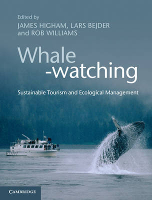 Whale-watching - 