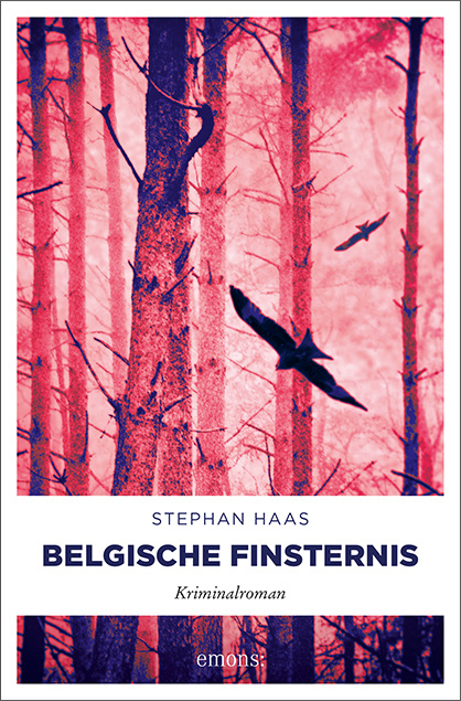 Belgische Finsternis - Stephan Haas