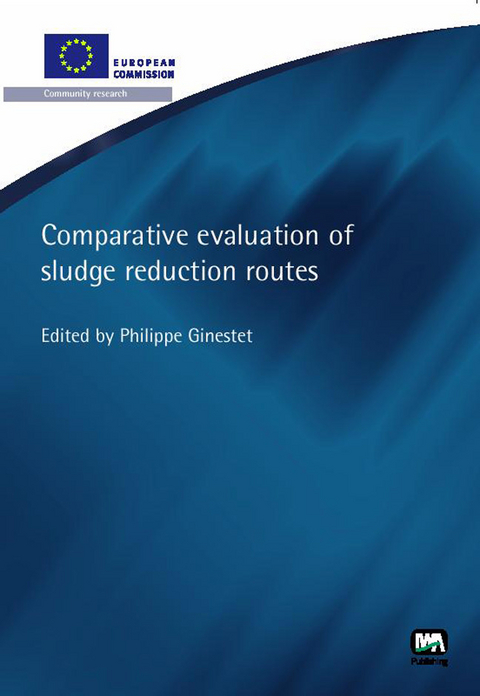 Comparative Evaluation of Sludge Reduction Routes - 