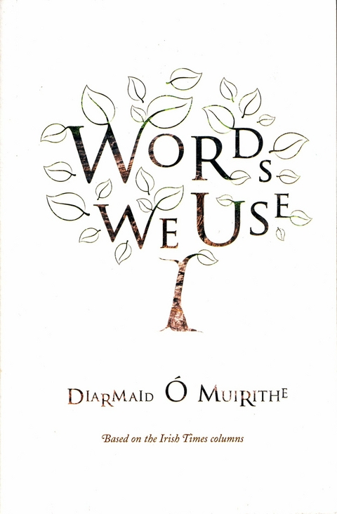 Words We Use -  Diarmaid O Muirithe
