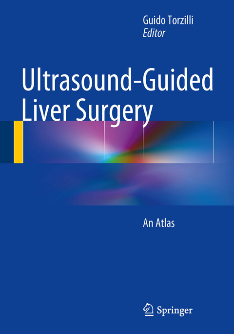 Ultrasound-Guided Liver Surgery - 