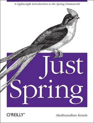 Just Spring -  Madhusudhan Konda