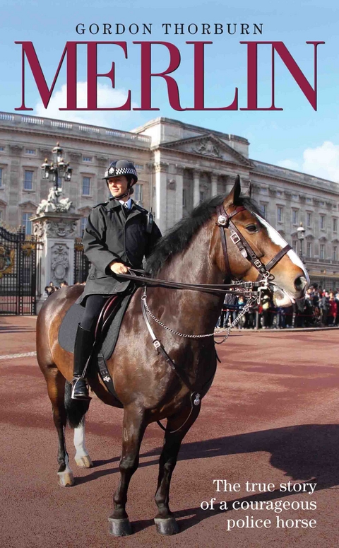 Merlin - The True Story of a Courageous Police Horse - Gordon Thorburn