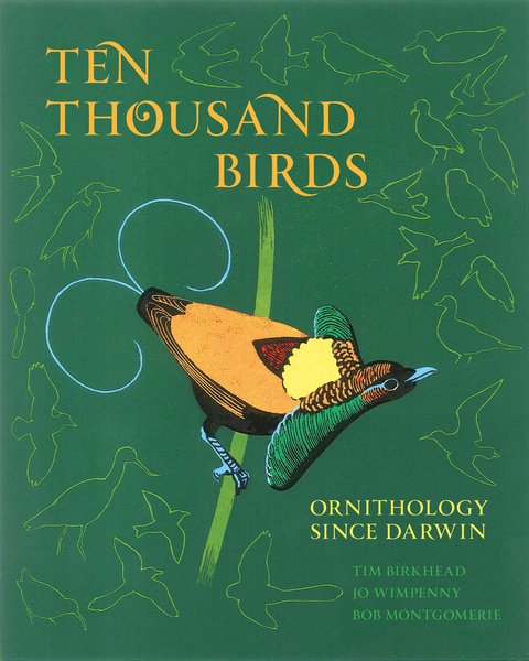 Ten Thousand Birds - Tim Birkhead, Jo Wimpenny, Bob Montgomerie