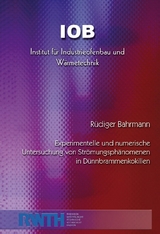 Experimentelle und numerische Untersuchung von Strömungsphänomenen in Dünnbrammenkokillen - Rüdiger Bahrmann