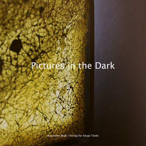 Pictures in the Dark - Kai Hunsicker