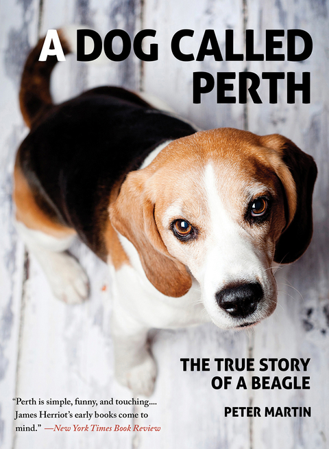 Dog Called Perth -  PETER MARTIN