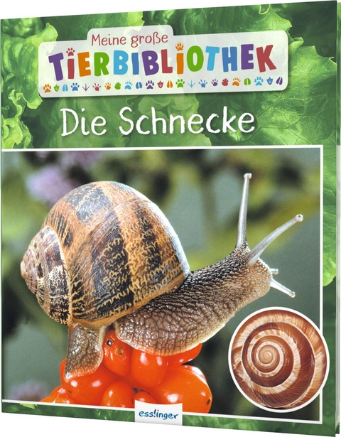 Meine große Tierbibliothek: Die Schnecke - Paul Starosta