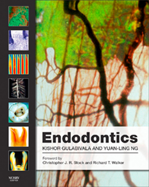 Endodontics E-Book -  Kishor Gulabivala,  Yuan-Ling Ng