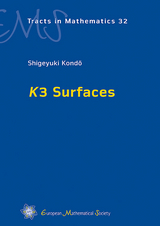 K3 Surfaces - Shigeyuki Kondo