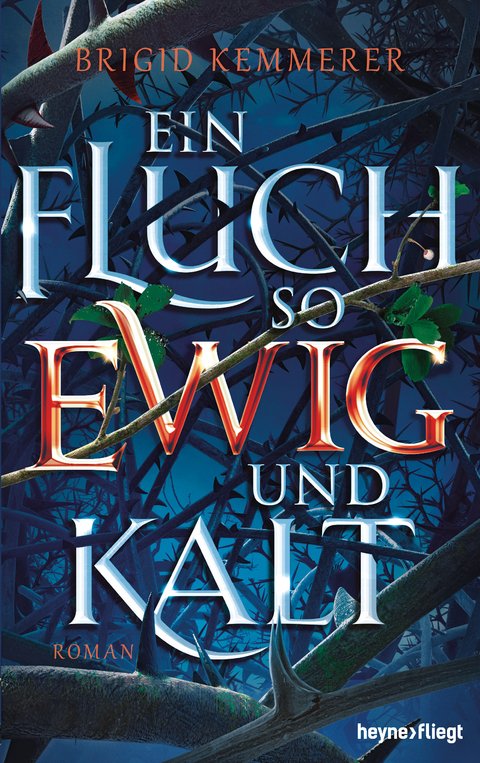 Ein Fluch so ewig und kalt - Brigid Kemmerer