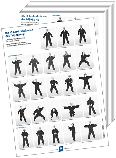 Poster - Die 15 Ausdrucksformen des Taiji-Qigong (10 Stück DIN A3) - Jiao Guorui, Dr. Gisela Hildenbrand