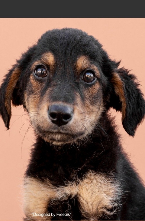 Notizbücher / Süßes Hunde Welpe Notizbuch Businessplaner Geschenkidee für Mann Frau und Kind - Notizbuch Health