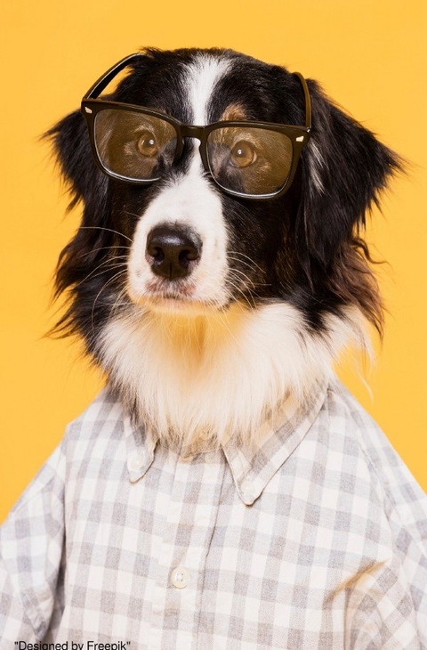 Notizbücher / Süßes Hunde Notizbuch Businessplaner Geschenkidee für Mann Frau und Kind - Notizbuch Health