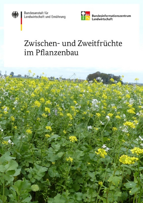 Zwischen- und Zweitfrüchte im Pflanzenbau - Norbert Lütke-Entrup, Gernot Bodner, Sebastian Hötte, Hubert Kivelitz, Harald Laser, Günter Stemann