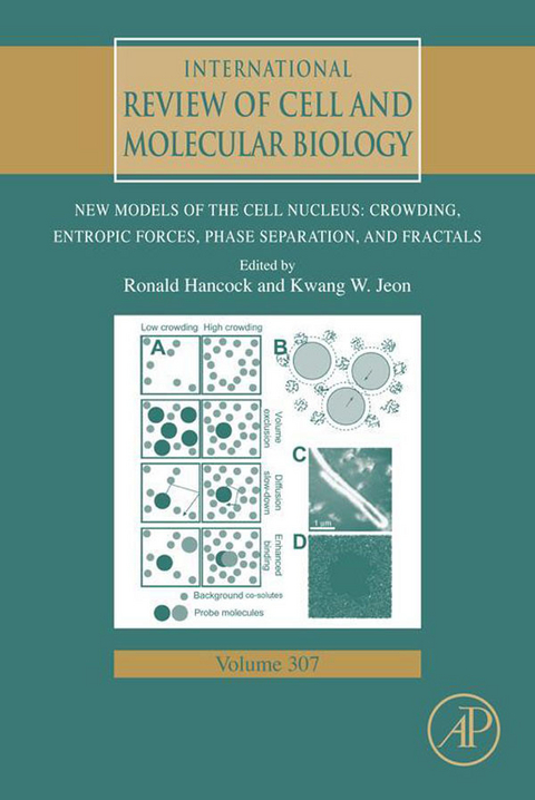New Models of the Cell Nucleus: Crowding, Entropic Forces, Phase Separation, and Fractals - 