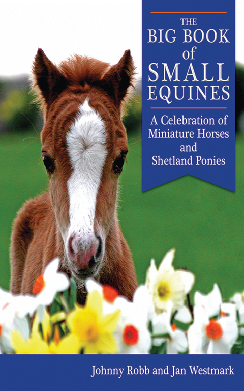 Big Book of Small Equines -  Johnny Robb,  Jan Westmark