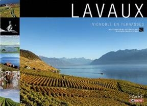 Lavaux : vignoble en terrasses