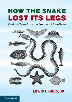 How the Snake Lost its Legs -  Jr Lewis I. Held