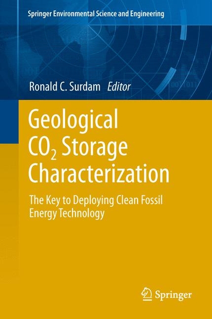 Geological CO2 Storage Characterization - 