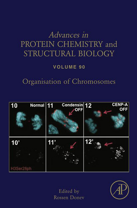 Organisation of Chromosomes