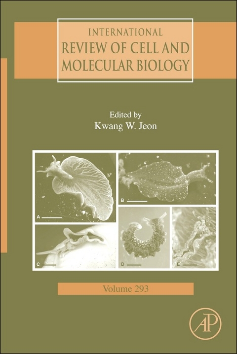 International Review of Cell and Molecular Biology - 