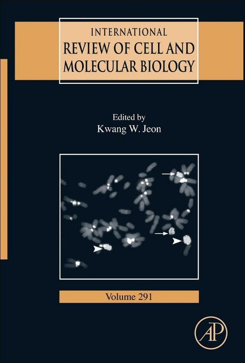 International Review of Cell and Molecular Biology - 