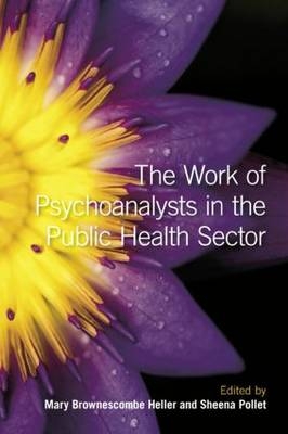 The Work of Psychoanalysts in the Public Health Sector - 