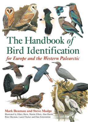 The Handbook of Bird Identification -  Mark Beaman,  Steve Madge