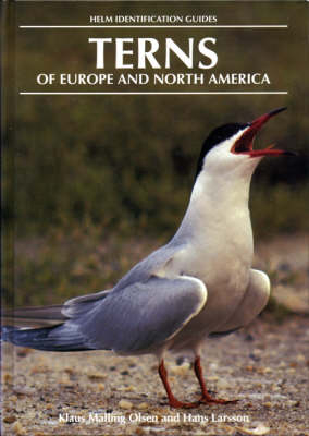 Terns of Europe and North America -  Hans Larsson,  Klaus Malling Olsen