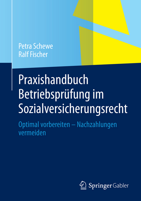 Praxishandbuch Betriebsprüfung im Sozialversicherungsrecht - Petra Schewe, Ralf Fischer