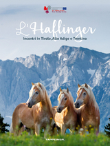 L'Haflinger - 