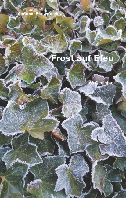 Frost auf Efeu - Andreas Skowronek