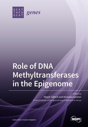 Role of DNA Methyltransferases in the Epigenome - 