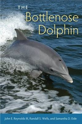 Bottlenose Dolphin -  Samantha D. Eide,  III John E. Reynolds,  Randall S. Wells